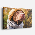cuadro canvas mascotas invierno noble horizontal