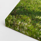 cuadro canvas mascotas salto solar horizontal