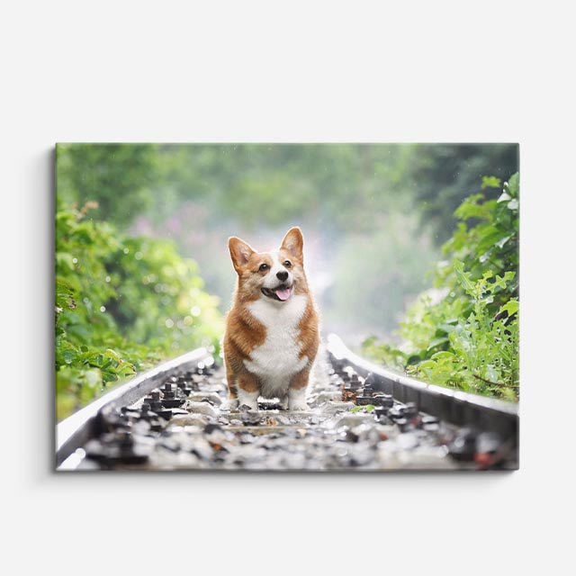cuadro canvas mascotas rieles reales horizontal