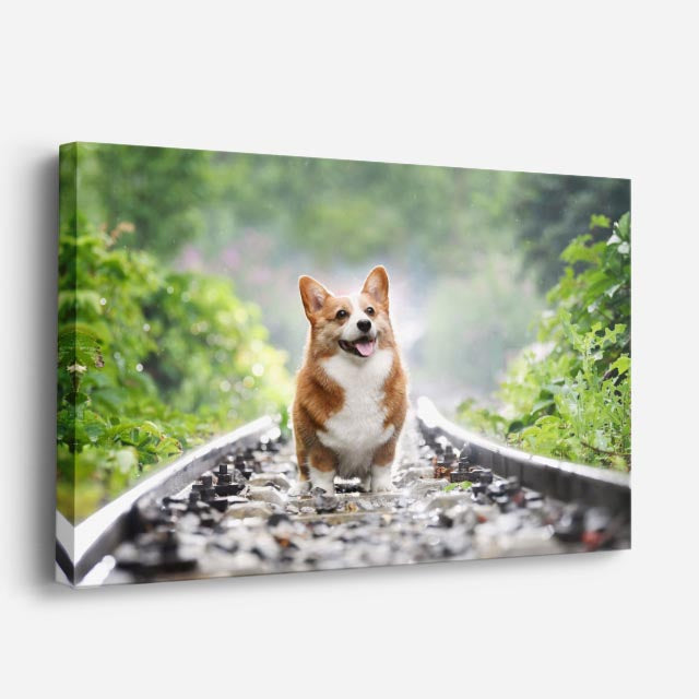 cuadro canvas mascotas rieles reales horizontal