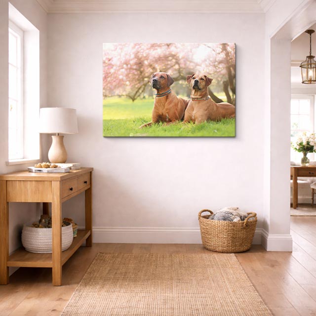 cuadro canvas mascotas dúo campestre horizontal