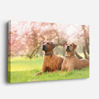 cuadro canvas mascotas dúo campestre horizontal