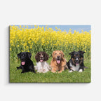 cuadro canvas mascotas pandilla amarilla horizontal