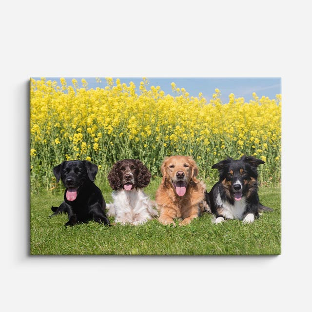 cuadro canvas mascotas pandilla amarilla horizontal