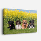 cuadro canvas mascotas pandilla amarilla horizontal