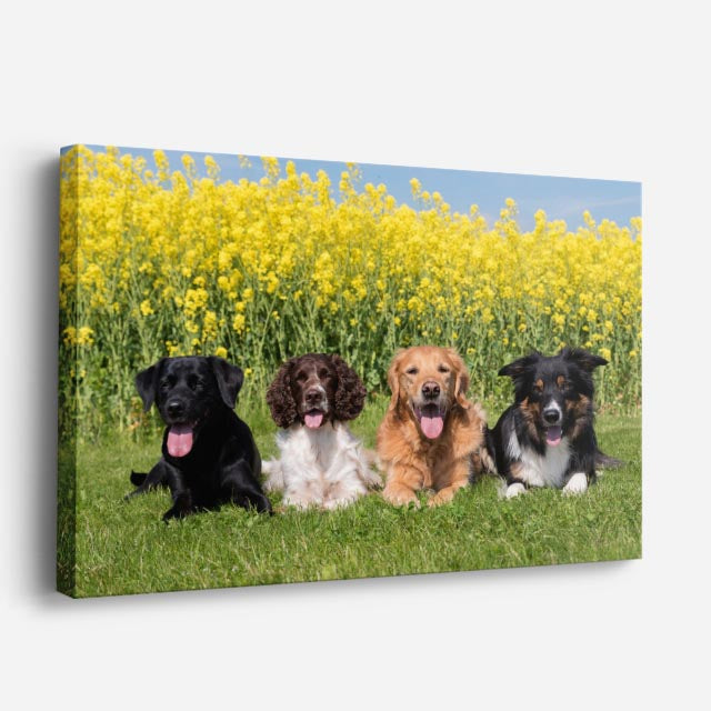 cuadro canvas mascotas pandilla amarilla horizontal