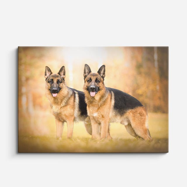 cuadro canvas mascotas linaje alemán horizontal