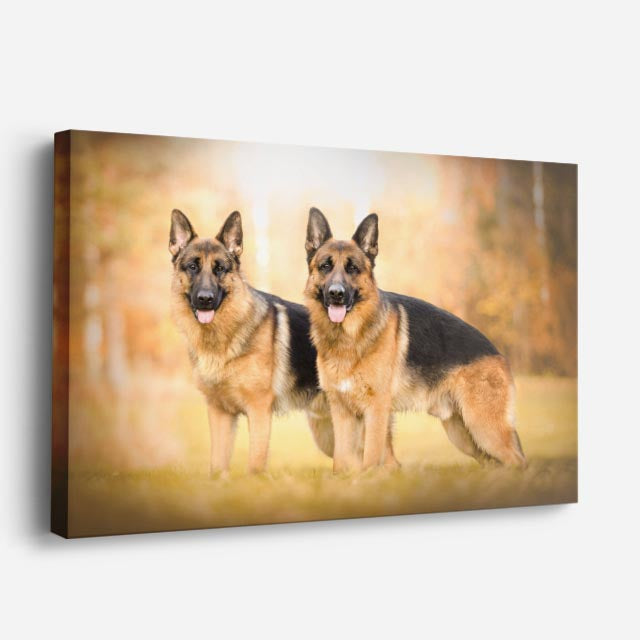 cuadro canvas mascotas linaje alemán horizontal