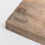 cuadro canvas mascotas cachorro miel horizontal