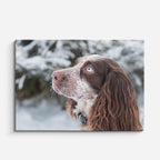 cuadro canvas mascotas nieve en otoño horizontal