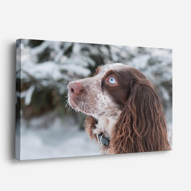cuadro canvas mascotas nieve en otoño horizontal