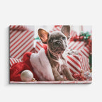 cuadro canvas mascotas navidad francesa horizontal