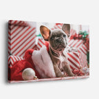 cuadro canvas mascotas navidad francesa horizontal