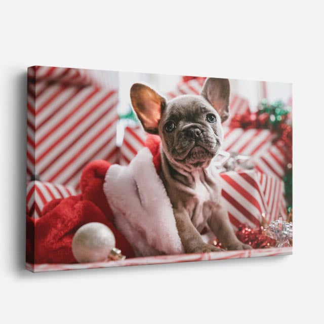cuadro canvas mascotas navidad francesa horizontal