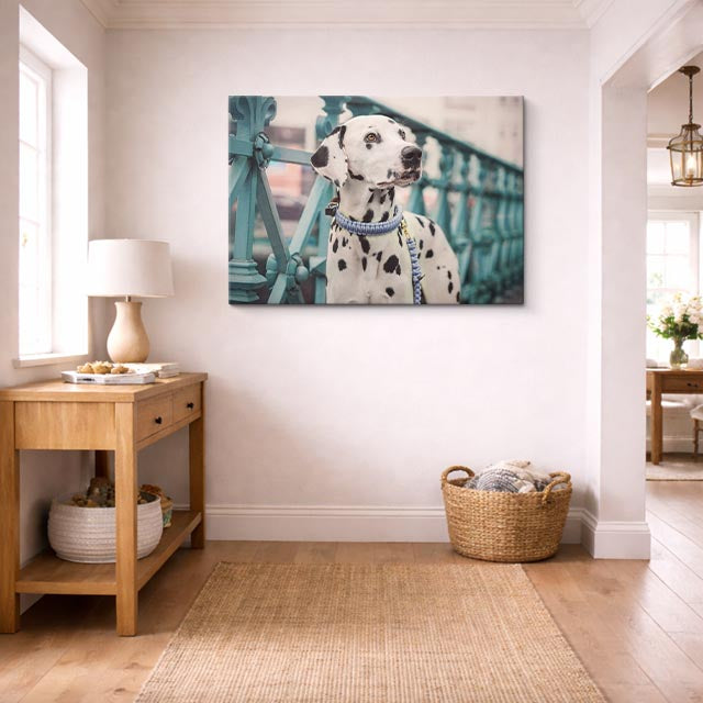 cuadro canvas mascotas dalmata urbano horizontal