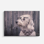 cuadro canvas mascotas intelectual gris horizontal