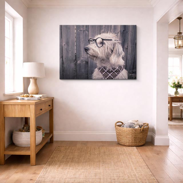 cuadro canvas mascotas intelectual gris horizontal