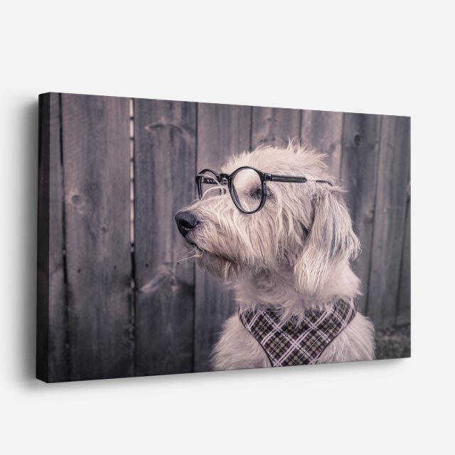 cuadro canvas mascotas intelectual gris horizontal