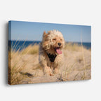 cuadro canvas mascotas brisa marina horizontal