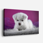 cuadro canvas mascotas nube violeta horizontal