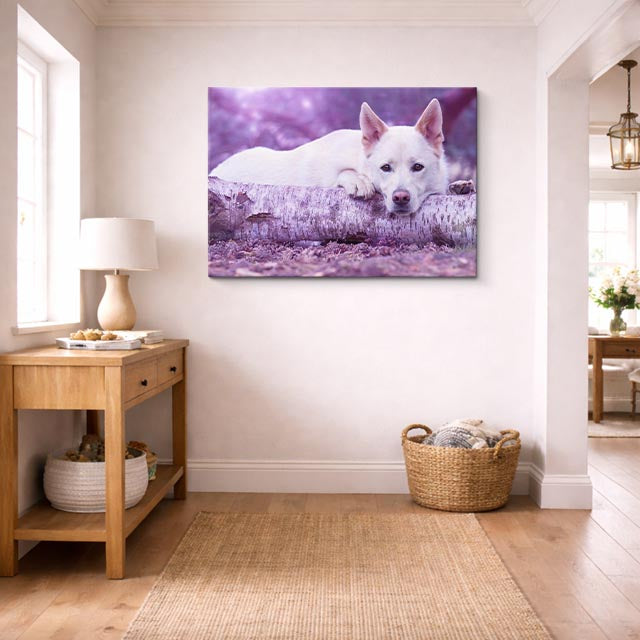 cuadro canvas mascotas siesta lavanda horizontal