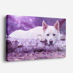 cuadro canvas mascotas siesta lavanda horizontal