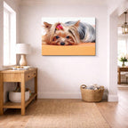 cuadro canvas mascotas mini diva horizontal