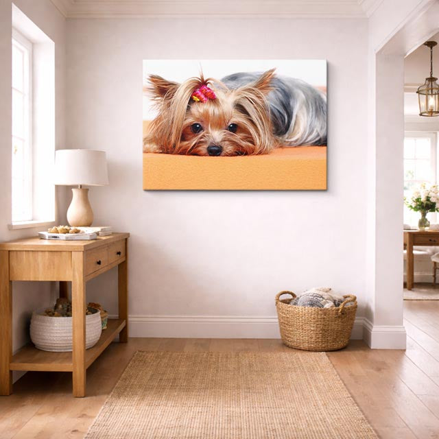 cuadro canvas mascotas mini diva horizontal