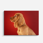 cuadro canvas mascotas perfil escarlata horizontal