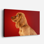 cuadro canvas mascotas perfil escarlata horizontal