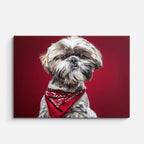 cuadro canvas mascotas pañuelo carmesí horizontal
