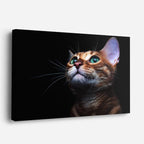 cuadro canvas mascotas mirada esmeralda horizontal