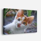 cuadro canvas mascotas curiosidad naranja horizontal