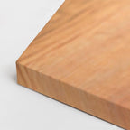 cuadro canvas mascotas duque plateado horizontal