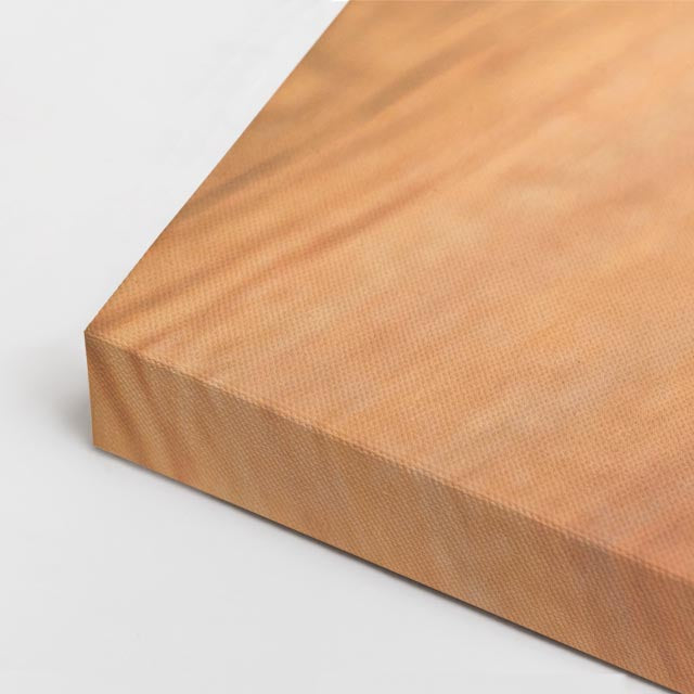 cuadro canvas mascotas duque plateado horizontal