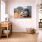 cuadro canvas mascotas duque plateado horizontal