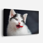 cuadro canvas mascotas bigotes de nieve horizontal