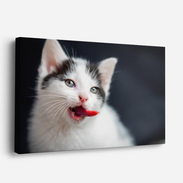 cuadro canvas mascotas bigotes de nieve horizontal