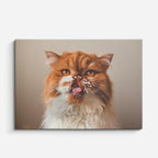 cuadro canvas mascotas gesto travieso horizontal