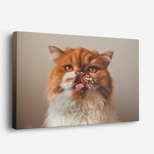 cuadro canvas mascotas gesto travieso horizontal