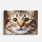 cuadro canvas mascotas ojos avellana horizontal