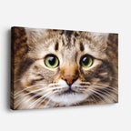 cuadro canvas mascotas ojos avellana horizontal