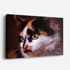 cuadro canvas mascotas perfil calicó horizontal