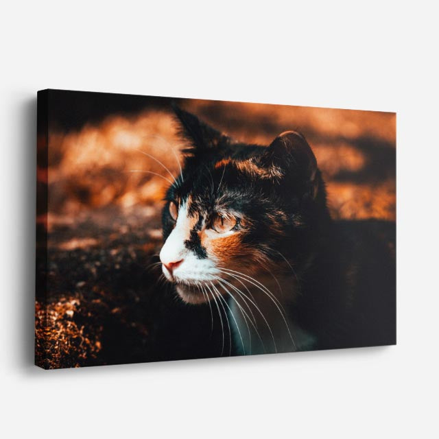 cuadro canvas mascotas luz de otoño horizontal