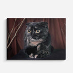 cuadro canvas mascotas sombra ébano horizontal