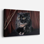 cuadro canvas mascotas sombra ébano horizontal