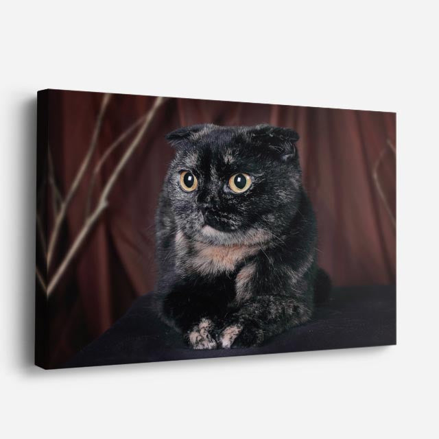cuadro canvas mascotas sombra ébano horizontal