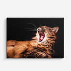 cuadro canvas mascotas rugido felino horizontal