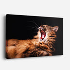 cuadro canvas mascotas rugido felino horizontal