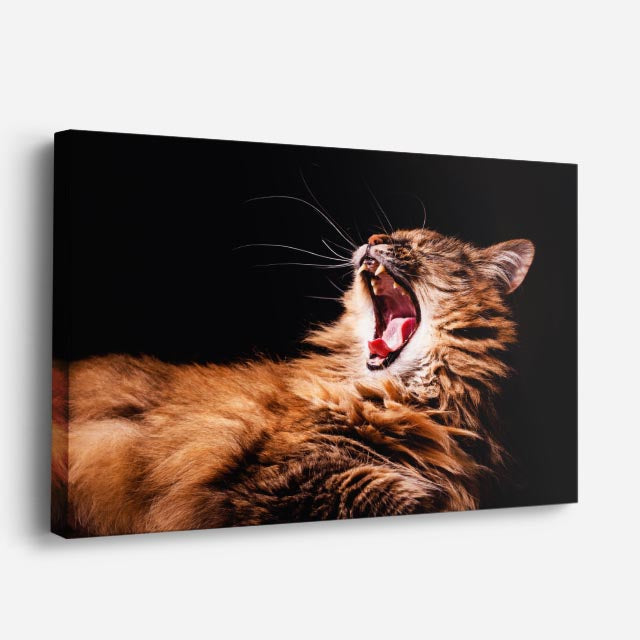 cuadro canvas mascotas rugido felino horizontal